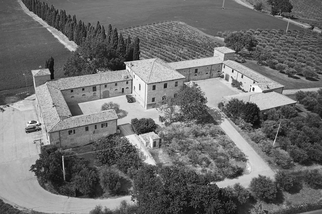 Il Castello di Ribano visto dall'alto, tra vigneti e uliveti